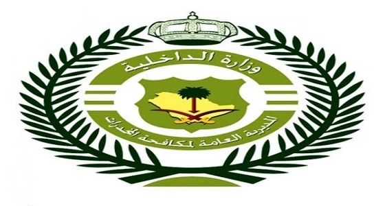 مكافحة المخدرات وجمارك الطائف تضبطان 76950 حبة محظورة