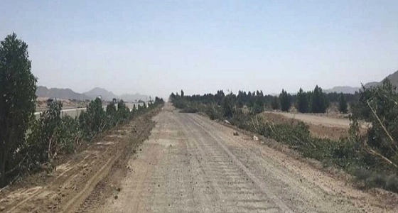 إزالة تعديات بمساحة 20 ألف متر مربع بـ " العكيشية "