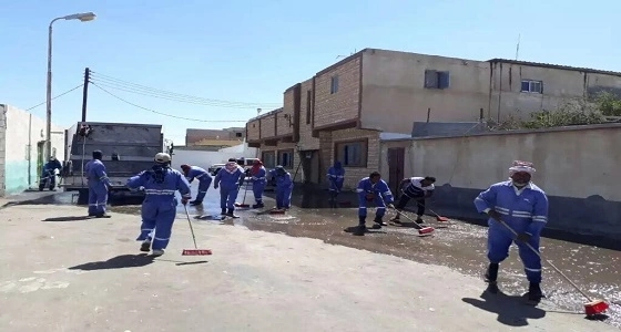 بالصور.. البلدية تزيل سيارات تالفة وتحجز مواشي سائبة من مخطط ابن مشيط