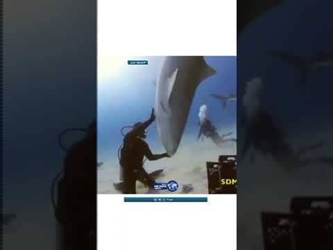 قوة خارقة في صد الهجوم