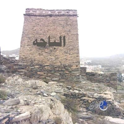 طعن شاب في مضاربة جماعية بعقيق الباحة.. والشرطة تحقق