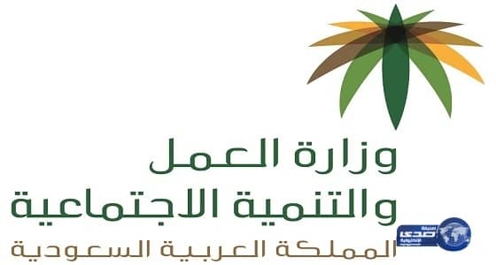 العمل تمنح المبلّغ عن المخالفات 10% من قيمة المخالفة عبر تطبيق "معاً للرصد"