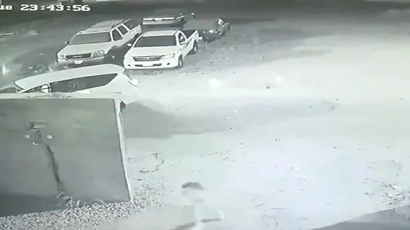 شاهد.. كلاب ضالة تلاحق طفلة صغيرة أثناء عودتها للمنزل