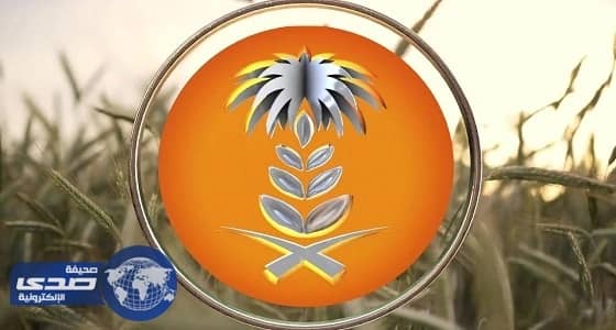 «العامة للحبوب» تطرح مناقصة لاستيراد 1.5 مليون طن شعير