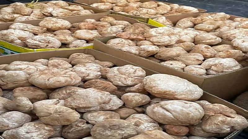 انضمام الإعلامي طارق الحماد لقنوات بي إن سبورتس القطرية