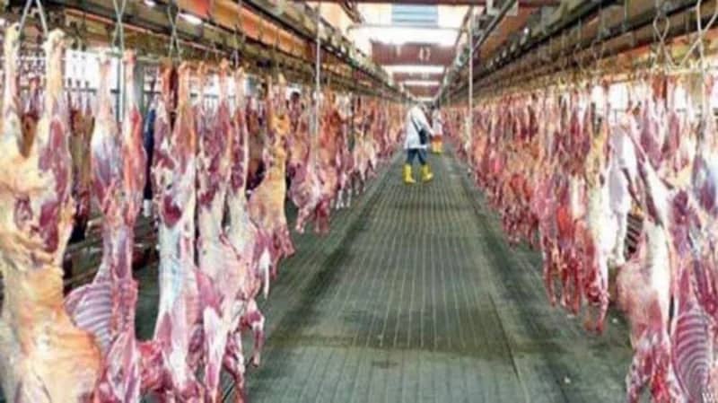"فيلالي": مشروع المملكة للإفادة من الأضاحي يحرص على عدم إهدار اللحوم