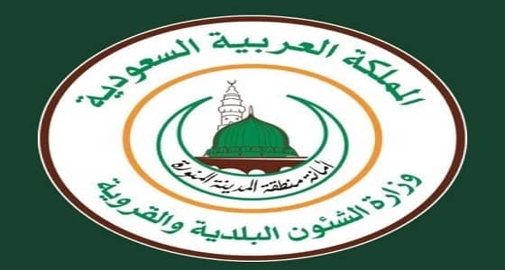 أمانة المدينة تنفي النفخ داخل الذبيحة بأحد المسالخ