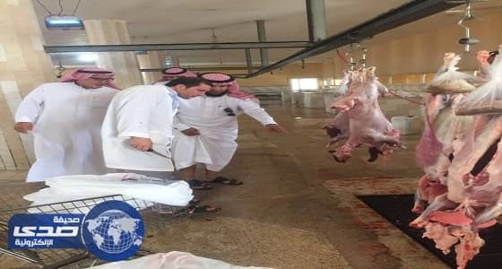 بالصور.. فريق الخدمات بـ " الجوف " يتفقد استعداد مسلخ سكاكا