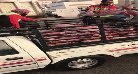 مصادرة 100 رأس من الذبائح مجهولة المصدر بمكة