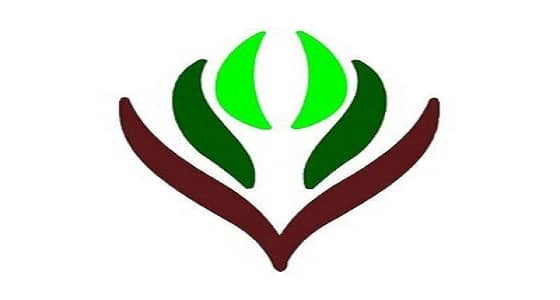 مواطنة تنهي معاناة زوجها بجزء من كبدها.. وأخرى تتبرع بكليتها لوالدتها