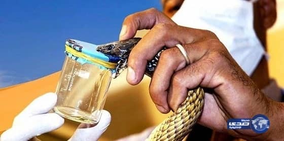 بالصور.. وكيل وزارة الصحة تزور مجمع الأمل بالرياض