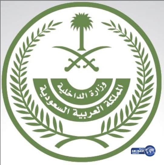 الداخلية: رصد هجمات إلكترونية خارجية استهدفت شبكات خاصة لجهات حكومية حيوية