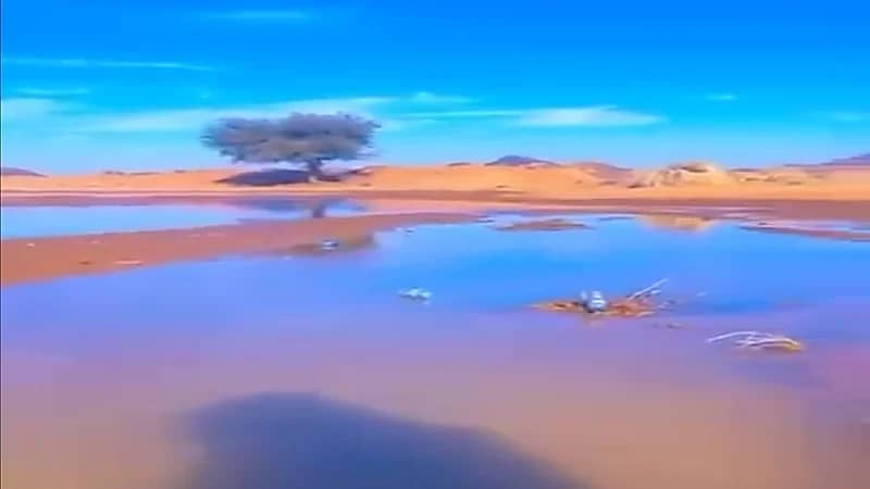 شاهد.. تجمد المياه في حائل نتيجة للإنخفاض الشديد في درجات الحرارة