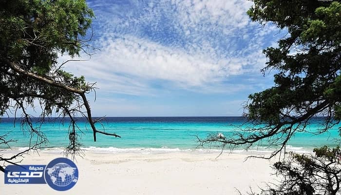 بالصور.. بعد 30 عامًا من اختفائها العثور على سيارة مدفونة في الشاطئ