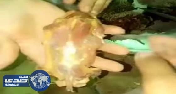 خريجو أكاديمية محمد بن نايف: جاهزون لخدمة الوطن وحماية حدوده من الأعداء