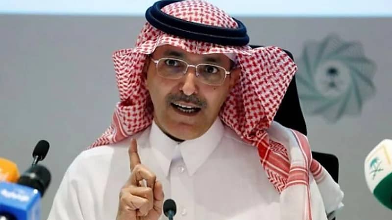 "وزير المالية" يطالب مجموعة العشرين بدعم توزيع الأسمدة