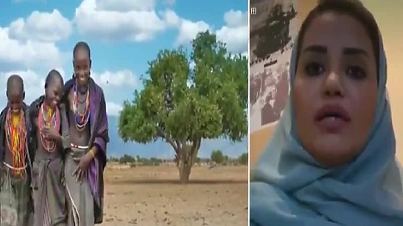 بالفيديو .. قصة مواطنة حصلت على 888 جائزة في التصوير
