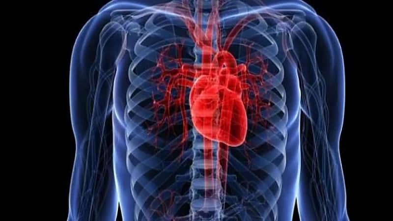 لقاح يعيد القلب إلى طبيعته بعد النوبات