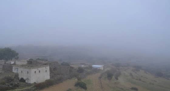 الإنذار المبكر يحذر من ضباب يعيق الرؤية في بعض المناطق