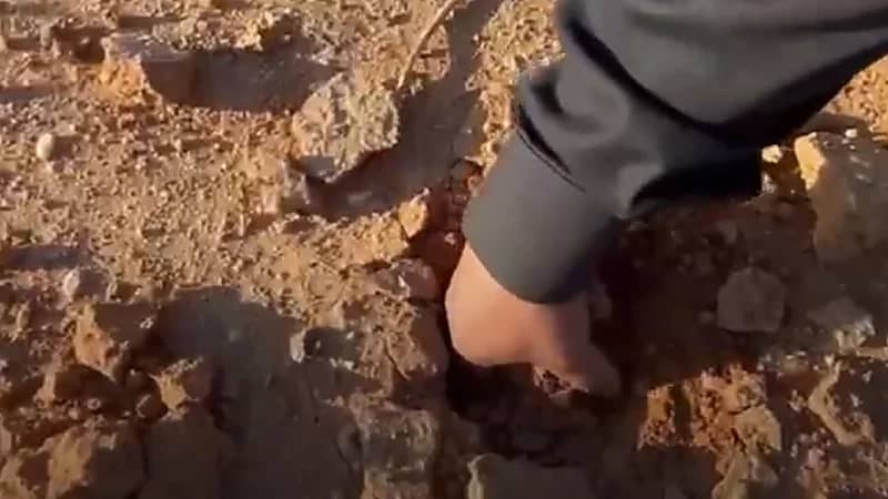 قرية السعيرة بحائل قبلة زراعة نبات "الفقع"