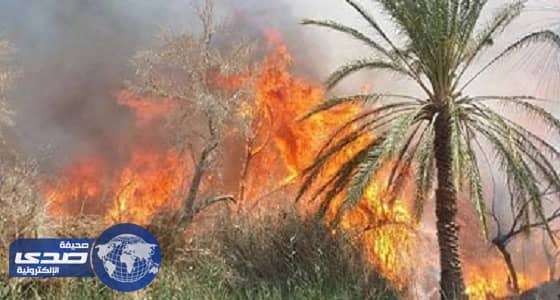 حريق ضخم يلتهم مزرعة مسؤول كبير بنظام مبارك بمصر