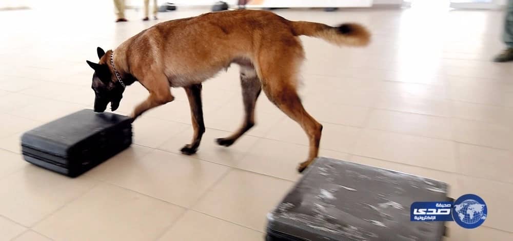 بالصور.. إغلاق موقعا مخالفا لتجهيز وجبات إعاشة للحجاج