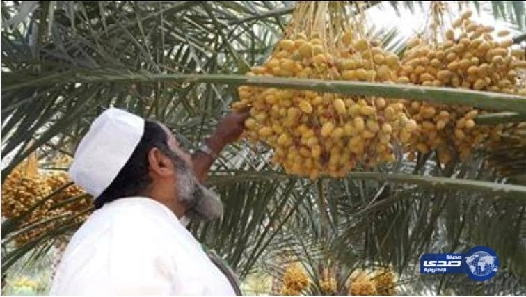 «بر الرياض» تنفي علاقتها بـ«مقطع الوجبات»