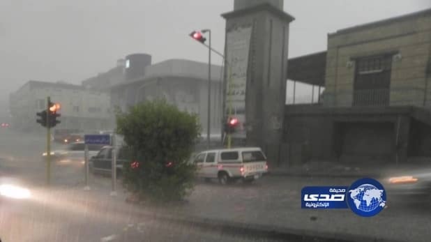 مستشفيات الطائف تعلن استنفار القوى الطبية 