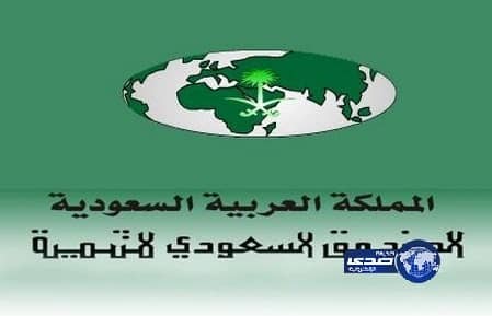 صندوق التنمية يوافق على تمويل وضمان صادرات وطنية غير نفطية بـ 2055مليون ريال 