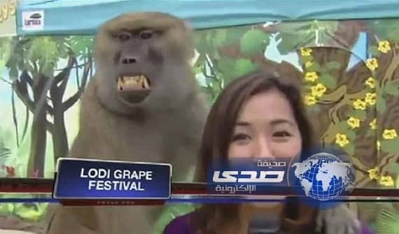 بالصور:أبرز الهفوات التلفزيونية والمواقف المحرجة على الهواء للعام 2013