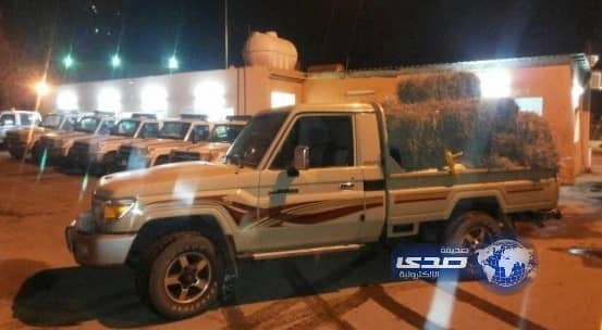 ضبط 8000 طلقة رشاش وسط أعلاف في “حشر جازان”