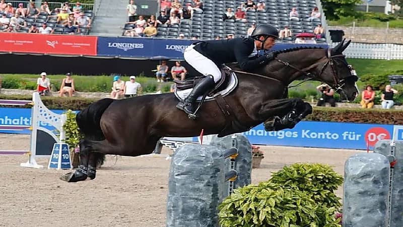 راموس يبيع "أفضل حصان في إسبانيا" للاتحاد السعودي للفروسية