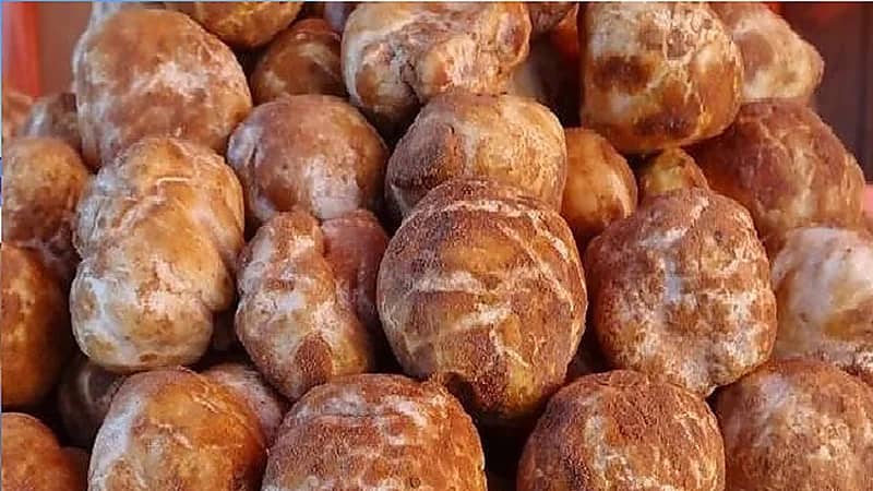 بالصور .. مهرجان الفقع في "شرى" ينطلق بأسعار جنونية