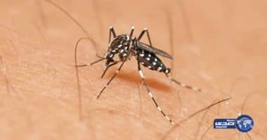 ثبوت اول انتشار محلي لفيروس  زيكا في "فلوريدا" ...والسلطات  تقاوم بالرش