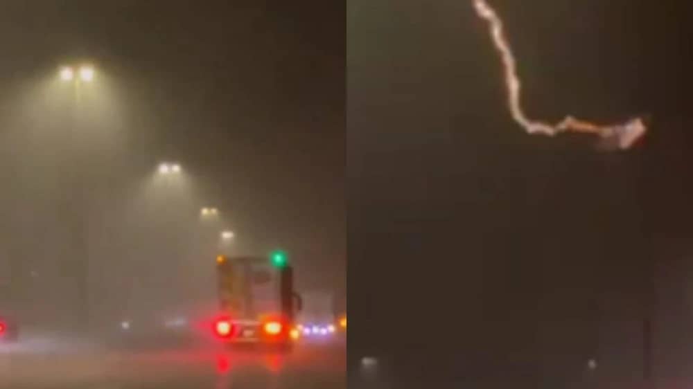 230cef59-6a3e-4a5e-8cbb-531a46b27010 (1).jpg