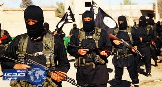  وزير الدفاع الروسي : تم القضاء على المسلحين وعادت الحياة في سوريا