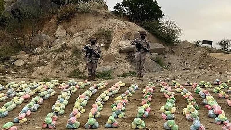 إحباط تهريب 299 كيلوجرامًا من القات بعسير