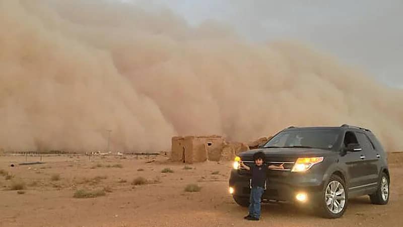المسند: الربيع يشهد 55% من إجمالي العواصف الغبارية