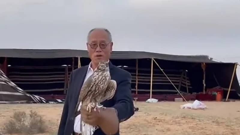 السفير الياباني يحمل صقرا على يده: لأول مرة في حياتي أشاهده عن قرب "فيديو"