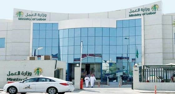 سعيا لتوطين 12 نشاطا.. " العمل " تطلق برامج تدريبية بالحدود الشمالية