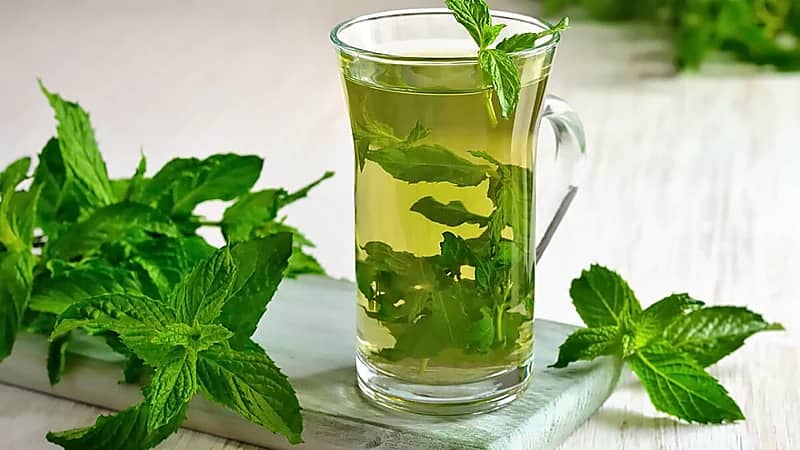 حقيقة ارتباط النعناع بارتفاع ضغط الدم