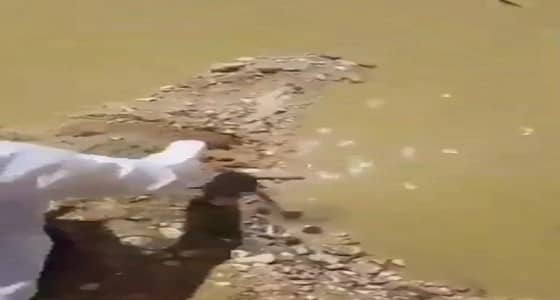 بالفيديو.. طريقة ساخرة لتوضيح تفاصيل مشروع قناة سلوى البحرية