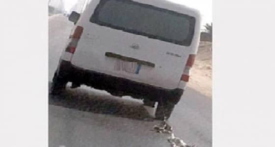 ضبط قائد حافلة يسحل قطتين على الطريق السريع بالأحساء
