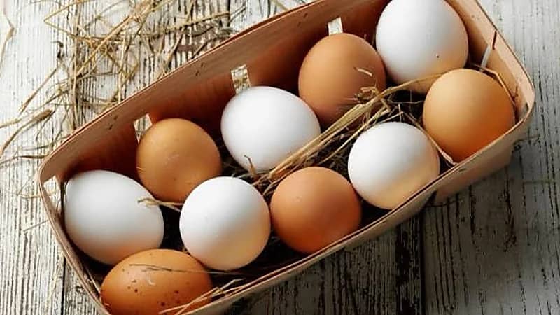 "الغذاء والدواء": تؤكد عدم وجود اختلاف في القيمة الغذائية بين البيض الأبيض والبني