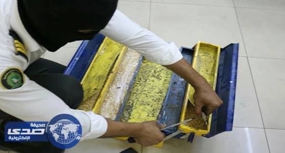 إحباط تهريب 345 ألف حبة " كبتاجون " بجمرك الحديثة