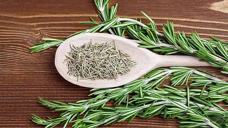 طرق استخدام إكليل الجبل للتخلص من الوزن الزائد