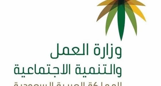 " العمل " تتفاعل مع 9 آلاف طلبا مسجلا في خدمة " وصال "