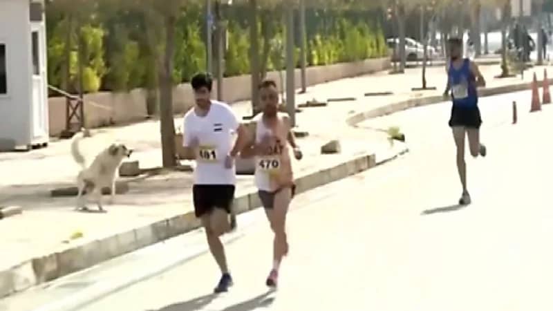 بالفيديو.. كلب يلاحق متسابقين في ماراثون رياضي
