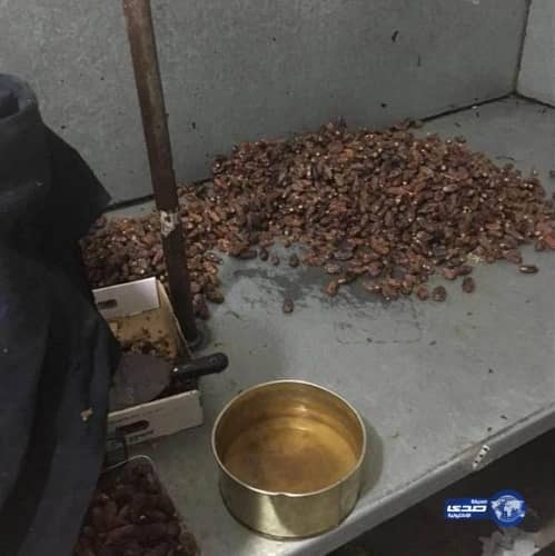 الإحصاء: زيادة عدد الفتيات المدخنات بالمملكة