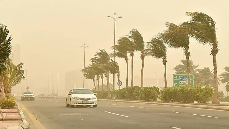"أوبك+" توصي بالالتزام بخطة الإنتاج الحالية